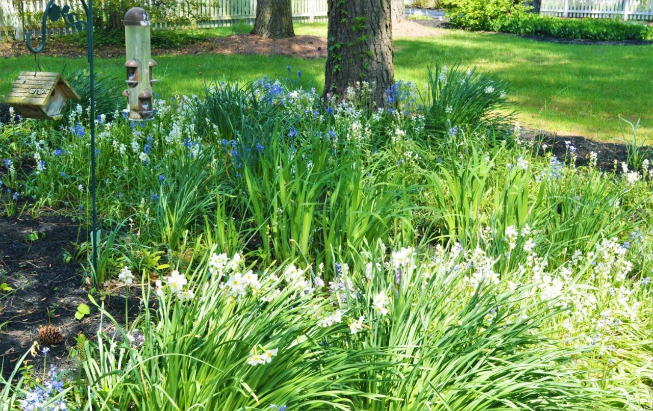 Meris Gardens B&B Bethany Beach Exteriér fotografie